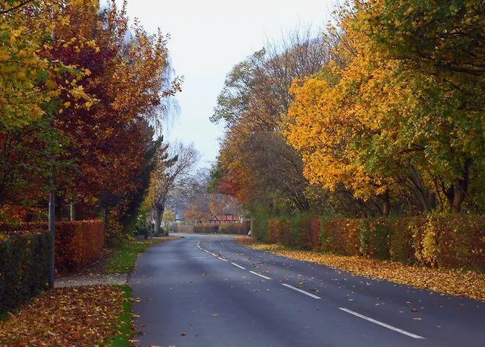 我的客房民宿 欧登塞